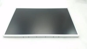 Original Samsung LTM190M2-L31 LCD USA Seller and Free Shipping - Picture 1 of 5