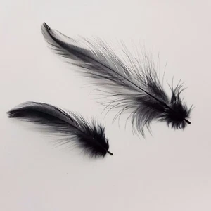 GALLO NERO / COCK HACKLE 50 PIUME FLYNSCOTSMAN TACKLE SCIOLTO SENZA MANTELLO - Foto 1 di 2