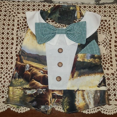Camisa hecha a mano para perro talla XL vaquero a cuadros pajarita y pañuelo correa lazo Foto 1 de 4
