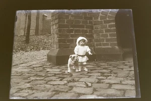 stupendo vecchio negativo in vetro - cane peluche bulldog con museruola e bambola  - Foto 1 di 4