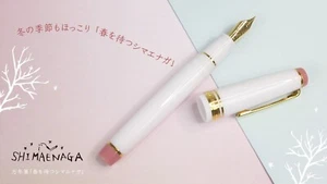 SAILOR Fountain Pen  " Shimaenaga Waiting for Spring " White Pink 21K Pro Gear - Picture 1 of 8