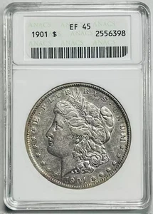 1901 Morgan Silver Dollar ANACS XF-45 - Picture 1 of 2