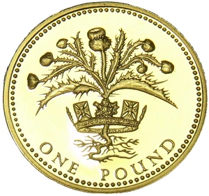 Gem Cameo Proof Great Britain 1984 Pound~Scottish Thistle~Edge Inscription~Fr/Sh - Picture 1 of 2