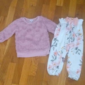 Pink Fuzzy Sweater and Floral Pants Set girl 18 month - Picture 1 of 3