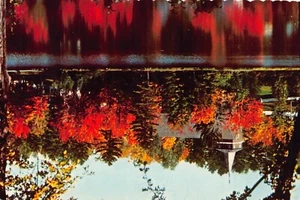Autumn Follage Mirror Lake Lake Placid Postcard New York - Picture 1 of 2