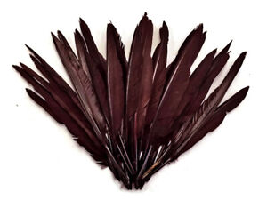 1/4 Lb. Brown Duck Pointer Primary Wing Wholesale Feathers Bulk Halloween Party
