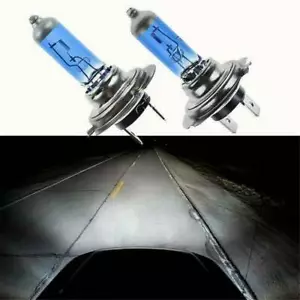 2 white H7 55w quality long life globes rrp $69+ for prestige vehicles - Picture 1 of 1