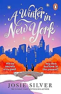 A Winter in New York: The delicious new wintery romance from the Sunday Times be