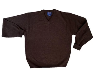 Vintage Pendleton Brown 100% Pure Virgin Lambs Wool Mens Sz L V-Neck Sweater - Picture 1 of 7