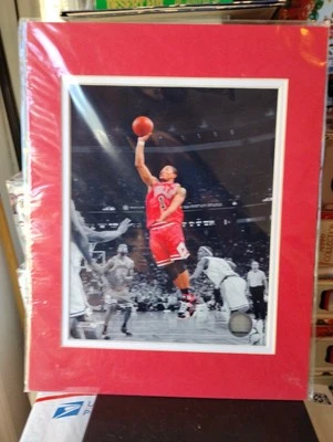 2009 Derrick Rose Chicago Bulls #1 NBA Playoffs Photo File 8X10 Factory Sealed - Image 1 of 4