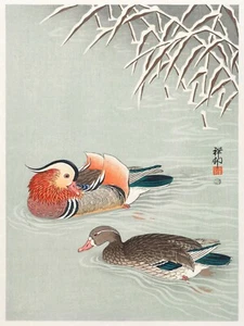 13258.Wall Decor Poster.Oriental design.Japan Ohara Koson painting.Mandarin duck - Picture 1 of 1