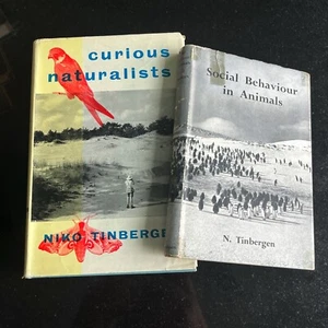 Tinbergen - Social Behaviour in Animals / Curious Naturalists - First Editions - Foto 1 di 1