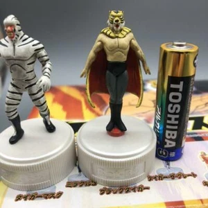 12 Figure Gasha Gashapon L'UOMO TIGRE TIGER MAN MASK BOTTLE CAP Bot-Biz Runa' jp - Foto 1 di 12