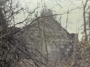 1996 REVILE DEMO DEATH METAL CASSETTE COLON MICHIGAN RARE - Bild 1 von 6