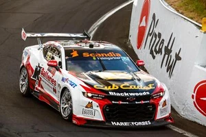 1:18 2023 Bathurst -- Heimgartner/Wood -- #8 Chevrolet Camaro -- Biante - Picture 1 of 1