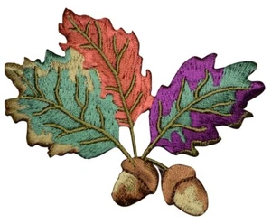 Acorns & Leaves Applique Patch - Fall Autumn Thanksgiving Embroidered Badge 3-5/ - Picture 1 of 1