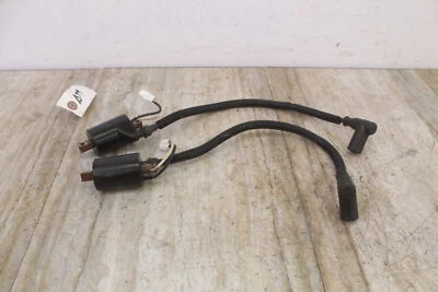 Juego de bobinas de encendido Polaris RMK 700 DRAGON 2008 Foto 1 de 4