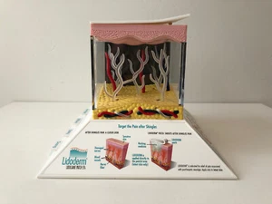 Endo Pharmaceuticals Drug Rep 3D Light Up Lidoderm Lidocaine Patch Model LD-1533 - Picture 1 of 5