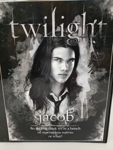 Twilight Jigsaw Puzzle "Jacob" 20" x 27"NECA, Summit Entertainment LLC - Picture 1 of 12