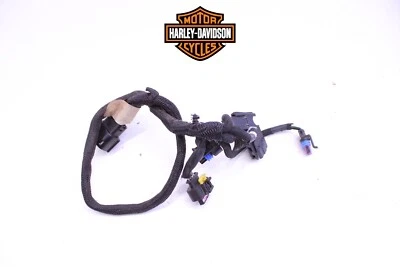 Arnés de cables de motor #652 Harley-Davidson Sportster XL883N 2014-2022 Foto 1 de 4
