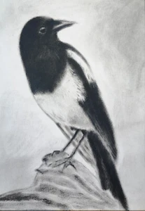 Urraca Original Pintura al Óleo sobre Papel Pájaro Arte Vida Silvestre 100% Hecho a Mano 8.3x11.8 - Imagen 1 de 6