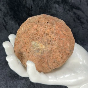 3-1/2” Unopened Geode Natural Red Crystal Quartz Rattler Break Your Own Hollow - Picture 1 of 9