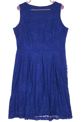 Vestido AGB Talla 14 Azul Sin Mangas Floral Encaje Hasta la Rodilla Fecha Vestido Foto 1 de 4