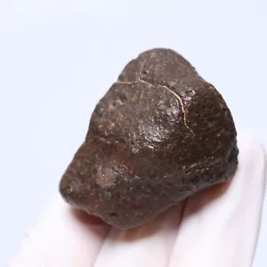 54g NWA chondrite meteorite,Unclassified,Meteorite Space Rock,collection B3825 - Picture 1 of 9