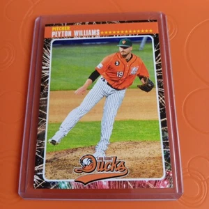 Peyton Williams Baseball Card Long Island Ducks 2024 Atlantic League Rare - Picture 1 of 2