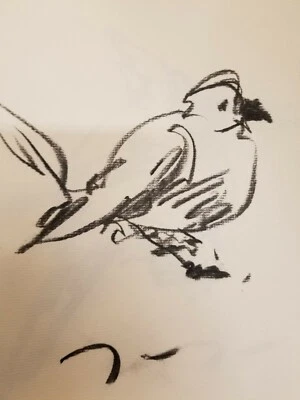 JOSE TRUJILLO Original Papel Carbón Boceto Dibujo 12" Pájaro Bellas Artes Estudio Foto 1 de 4