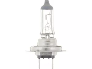 Headlight Bulb 67SXMK87 for 3 Sport 5 6 CX7 MX5 Miata RX8 Protege5 2002 2003 - Picture 1 of 1