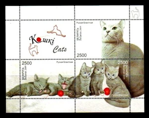 Belarus 2009 - Domestic animal cat / small cats - block 69 - MNH - Picture 1 of 1