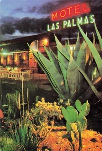 MOTEL LAS PALMAS MATEHUALA MEXICO  CACTUS GARDEN 4 x 6 Vintage PC - Picture 1 of 2