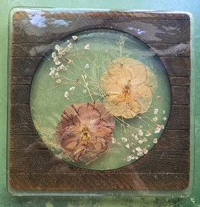 Vintage gepresste Blume Harz Untersetzer Wandstück 8" x 8" Colorflo Riverside Calif - Bild 1 von 10