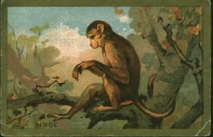 Image ancienne chromo le singe - Picture 1 of 2