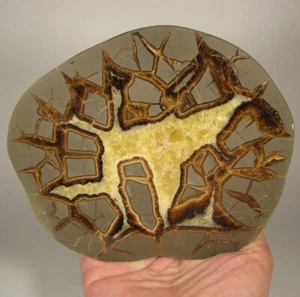 6.1" Polished SEPTARIAN GEODE End Slab - Utah - 2.1 lbs. - Picture 1 of 8