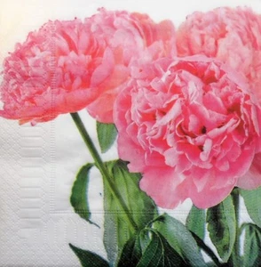 4 X Single Paper Napkins for Decoupage Crafting Party Flowers Pattern Peony 12 - Picture 1 of 2