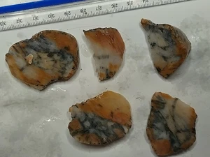lot of Scott's Bay Nova Scotia mineral Agate 5 slices unpolished - Bild 1 von 10