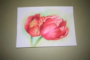 original watercolour painting flowers. Parrot Tulips. Malgorzata Lis - Picture 1 of 3