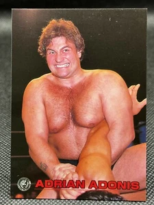 ADRIAN ADONIS NEW JAPAN PRO WRESTLING Card NJPW TCG BANDAI Japan 1998 - Picture 1 of 12