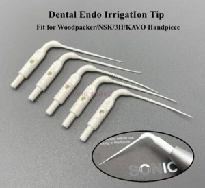 Dental Endo Irrigation Tip VDW EDDY NSK KAVO Air Scaler Handstück Sonic Tips  - Bild 1 von 12