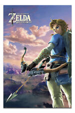 Legend Of Zelda Breath Of The Wild Hyrule Scene Poster Official Licensed 24x36"
