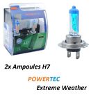 2X Ampoules H7 Extreme Weather  Piaggio X8 250 (M36)