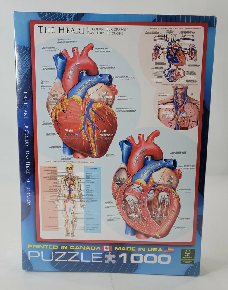 The Heart Realistic Anatomy Human Biology Diagram 1000 Piece Jigsaw Puzzle NEW! - Image 1 of 3