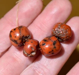 Rare antiche perle beduine yemenite naturali in vero corallo rosso raccolte dallo Yemen - Foto 1 di 9