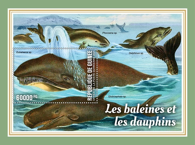 Киты и дельфины - Изображение 1 из 1