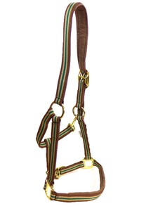 CAVALLO Halfter ELAN Messing  espresso-muscat Gr. XL