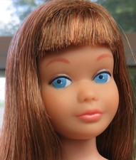 Vintage Barbie Skipper Rare Color Magic Skipper W/ Orig Swimsuit 