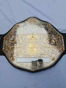 Fandu Big Gold World HeavyWeight Wrestling Championship 4mm Belt (Replica) - Picture 1 of 9