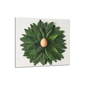 Küchenrückwand Glas 65x60 Spritzschutz Herd Spüle Fliesenschutz Küche Essen Grün - Bild 1 von 2